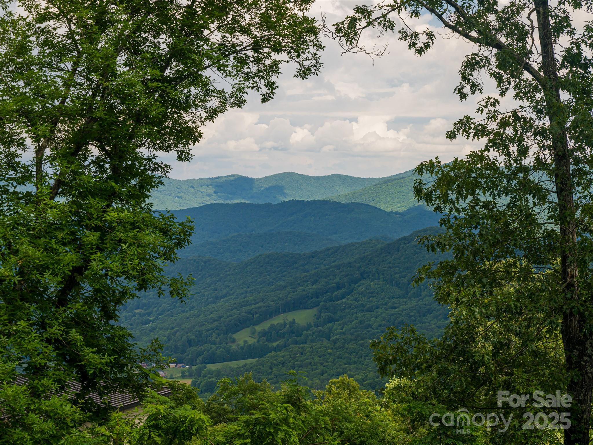 130 Bluff Creek Terrace Candler NC 28715