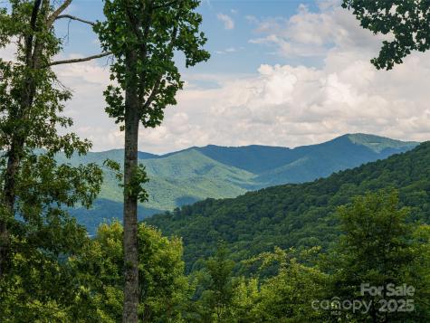 130 Bluff Creek Terrace Candler NC 28715