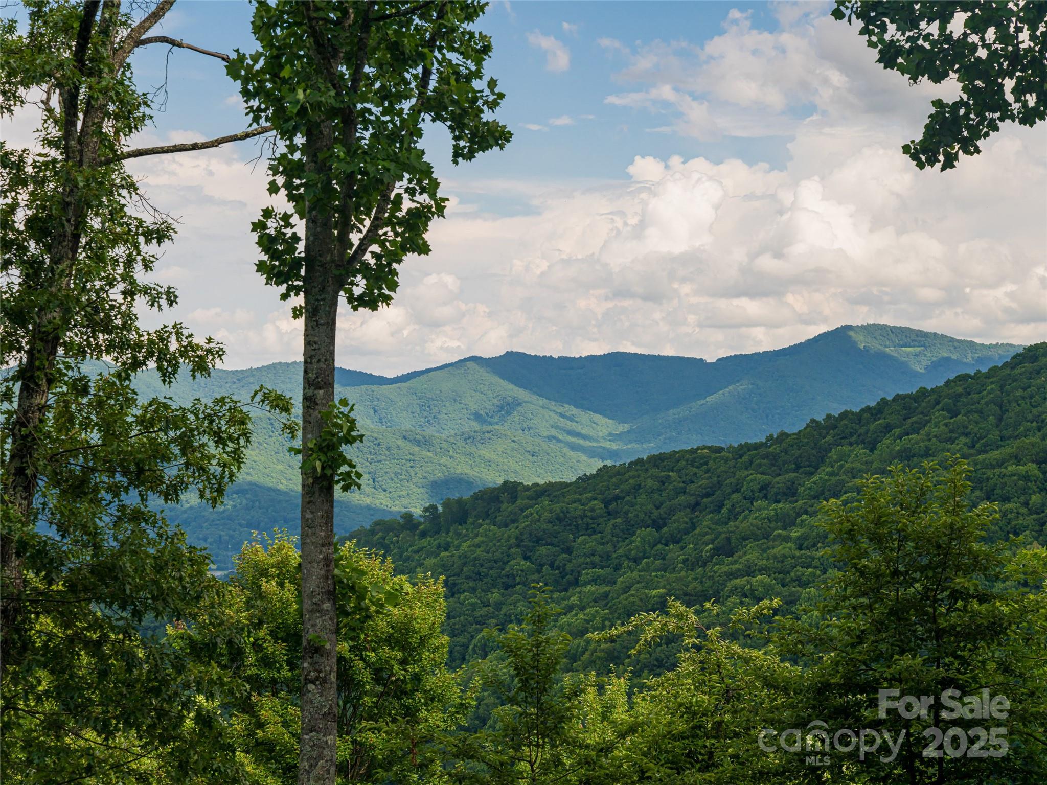 130 Bluff Creek Terrace Candler NC 28715