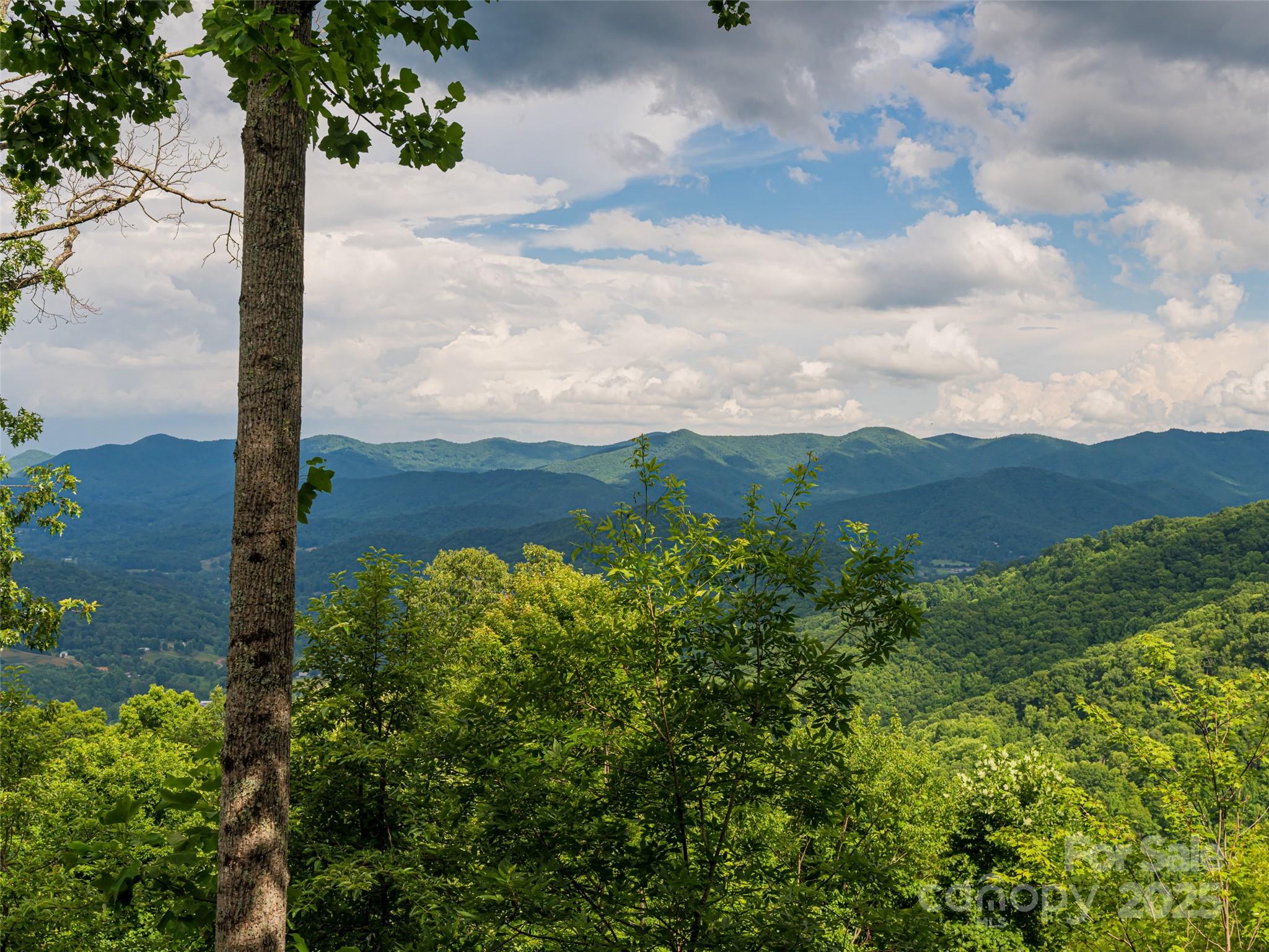 130 Bluff Creek Terrace Candler NC 28715