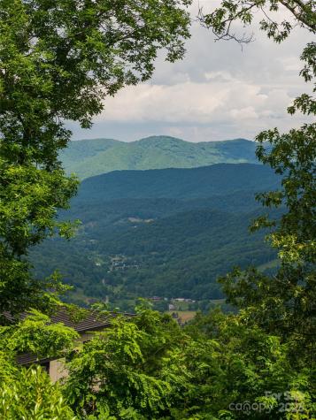130 Bluff Creek Terrace Candler NC 28715
