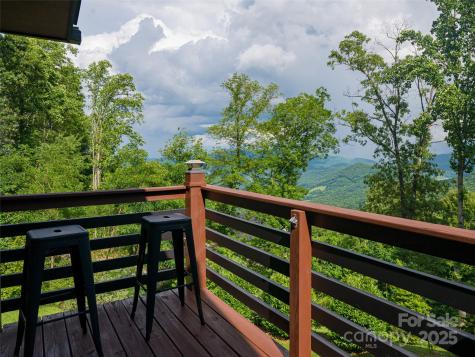 130 Bluff Creek Terrace Candler NC 28715