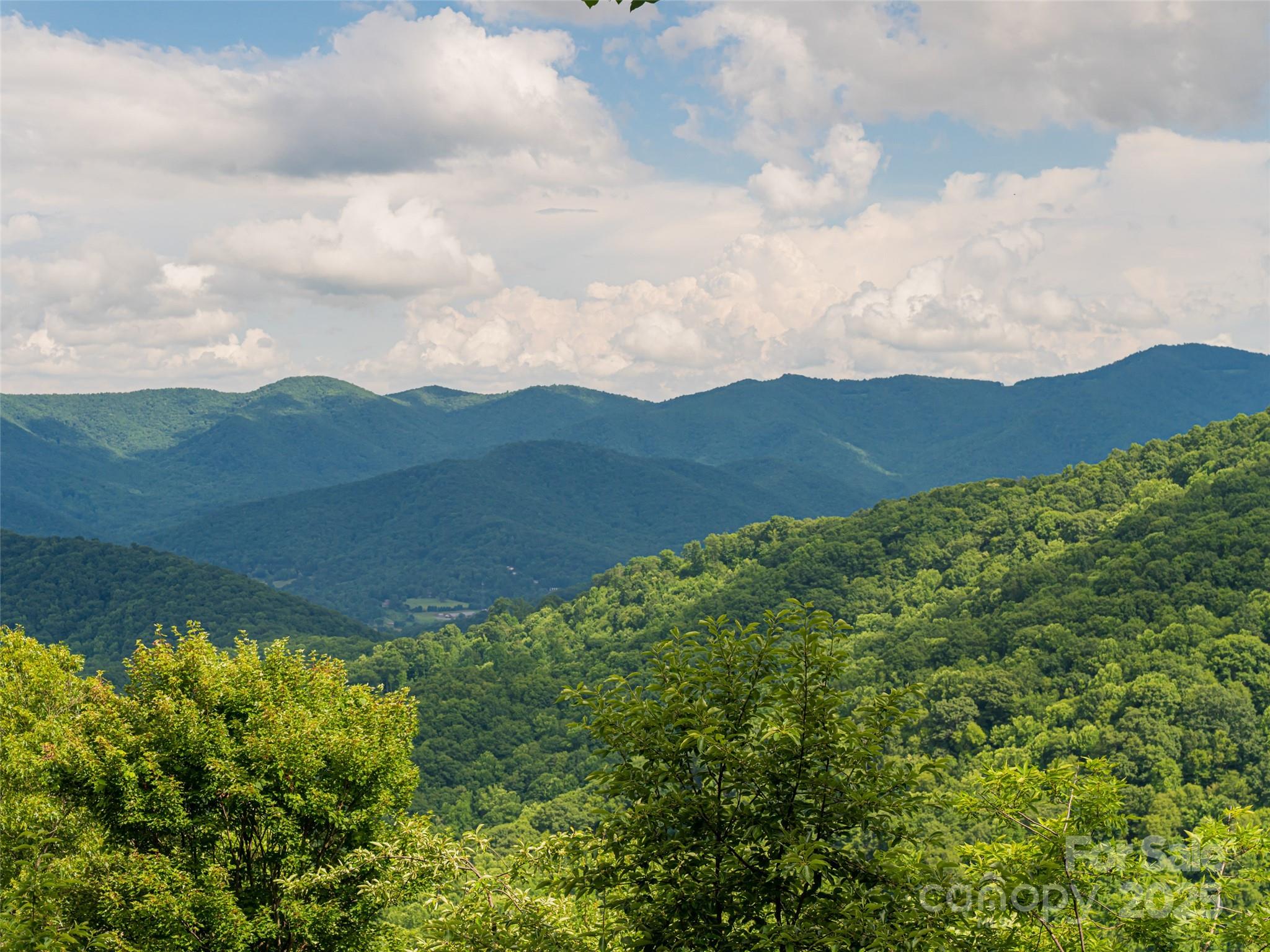 130 Bluff Creek Terrace Candler NC 28715