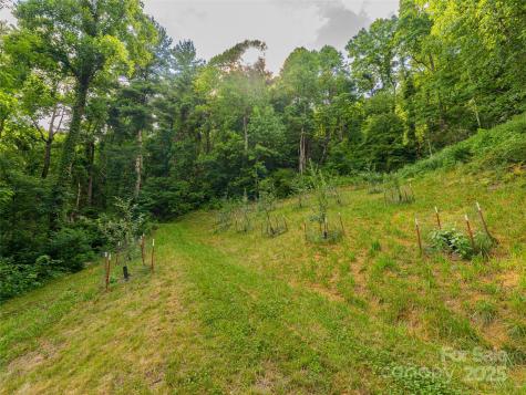 130 Bluff Creek Terrace Candler NC 28715