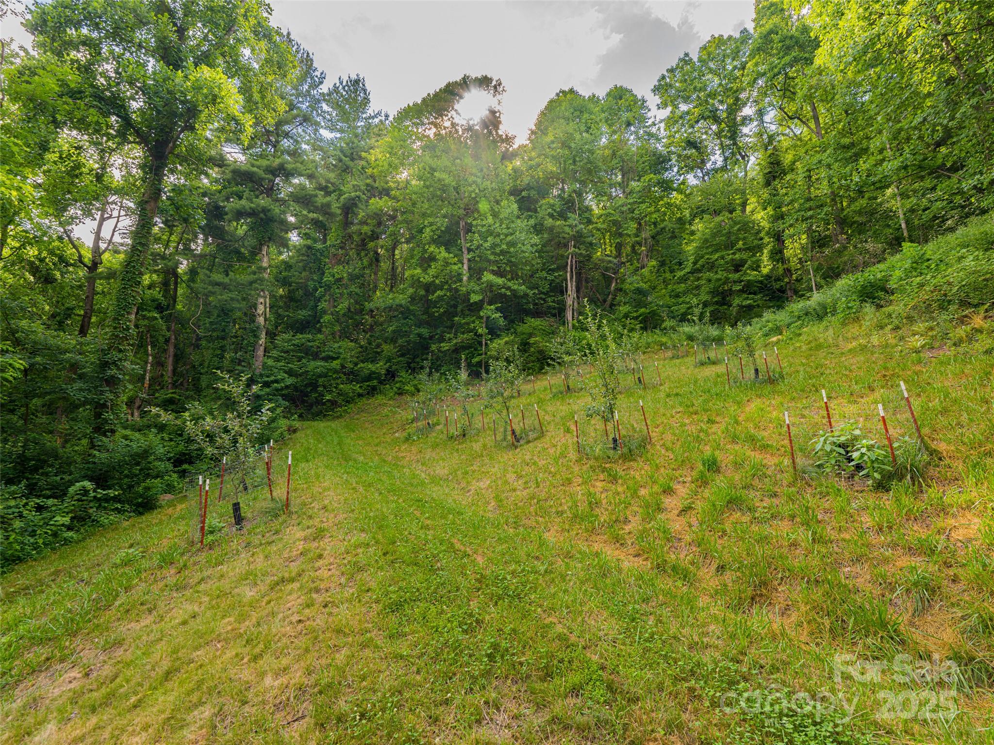 130 Bluff Creek Terrace Candler NC 28715