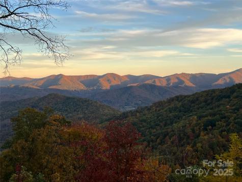 130 Bluff Creek Terrace Candler NC 28715
