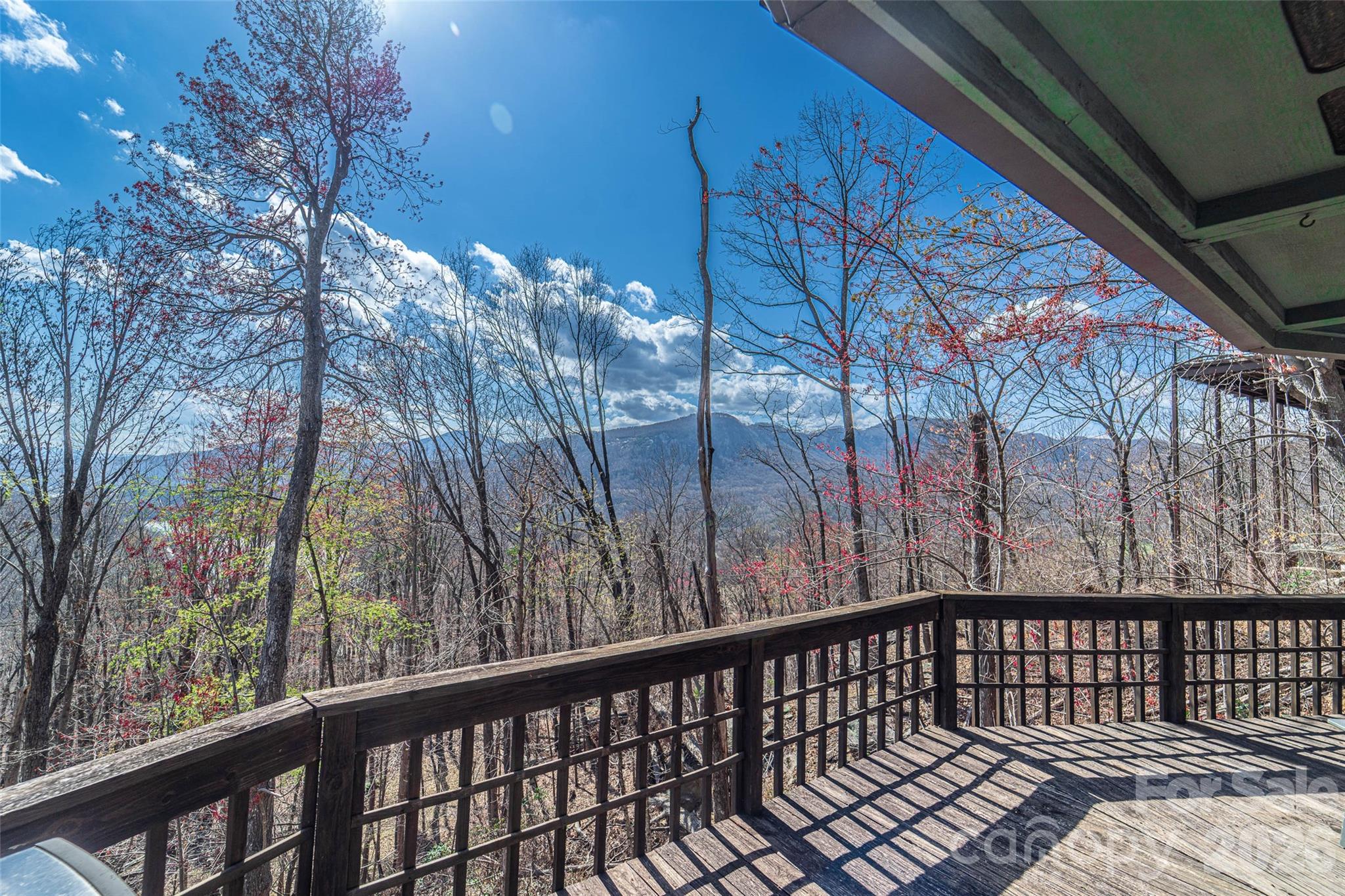 503 Youngs Mountain Drive Lake Lure NC 28746