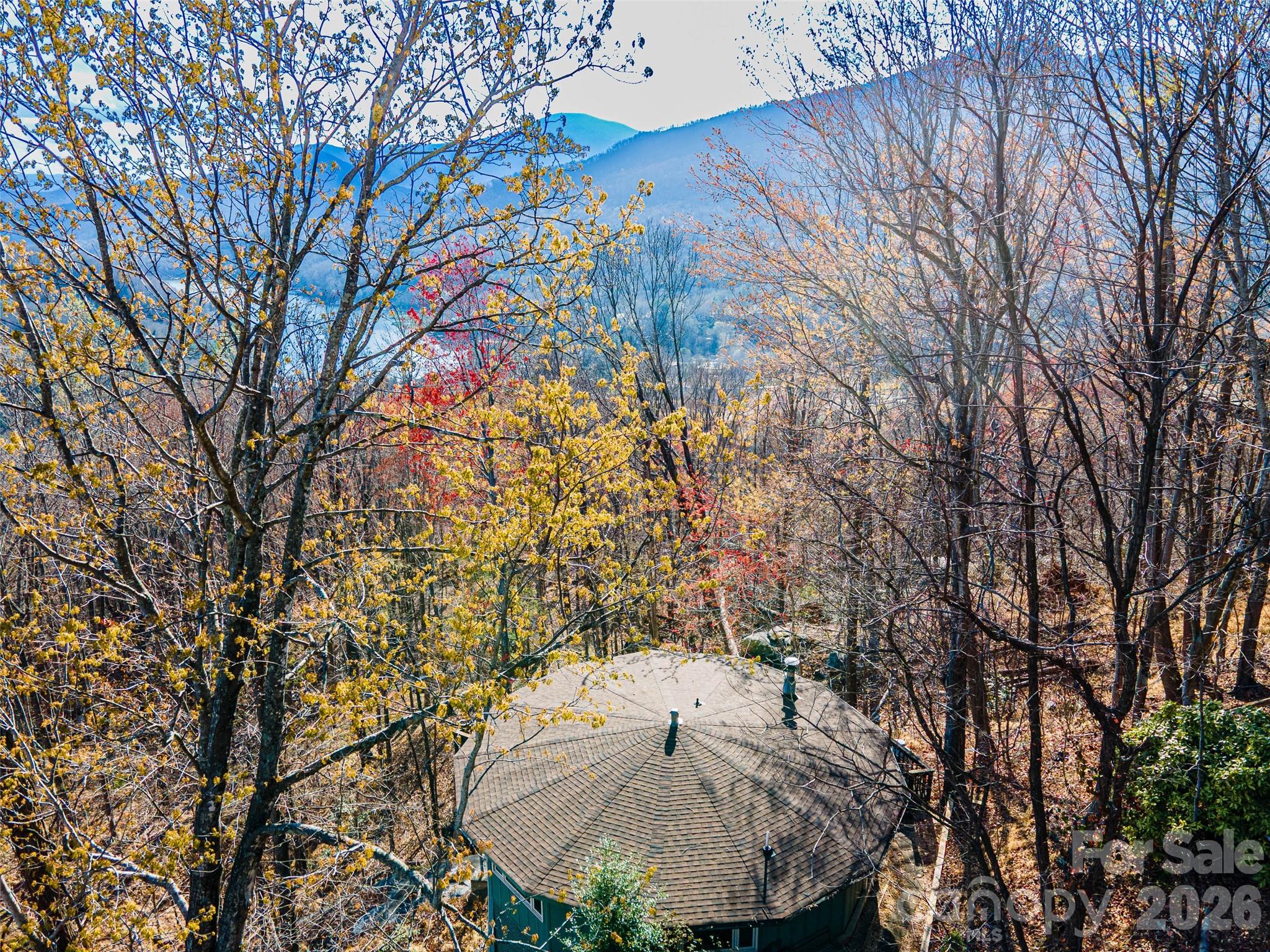 503 Youngs Mountain Drive Lake Lure NC 28746