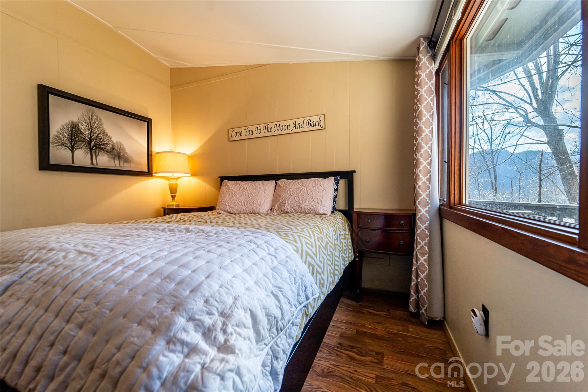 503 Youngs Mountain Drive Lake Lure NC 28746