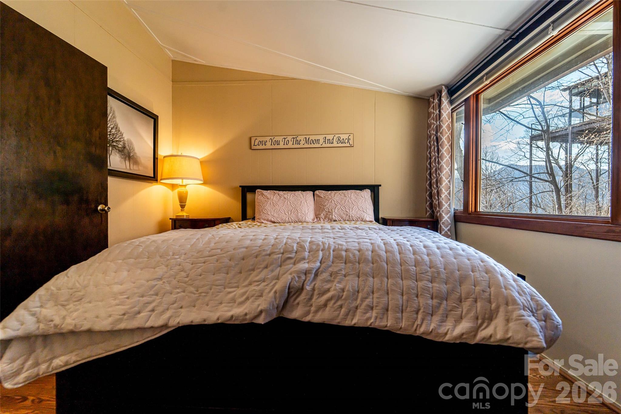 503 Youngs Mountain Drive Lake Lure NC 28746