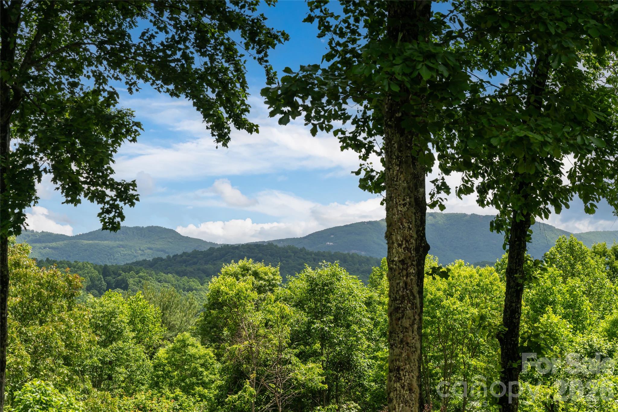 305 Piney Knoll Lane Hendersonville NC 28739
