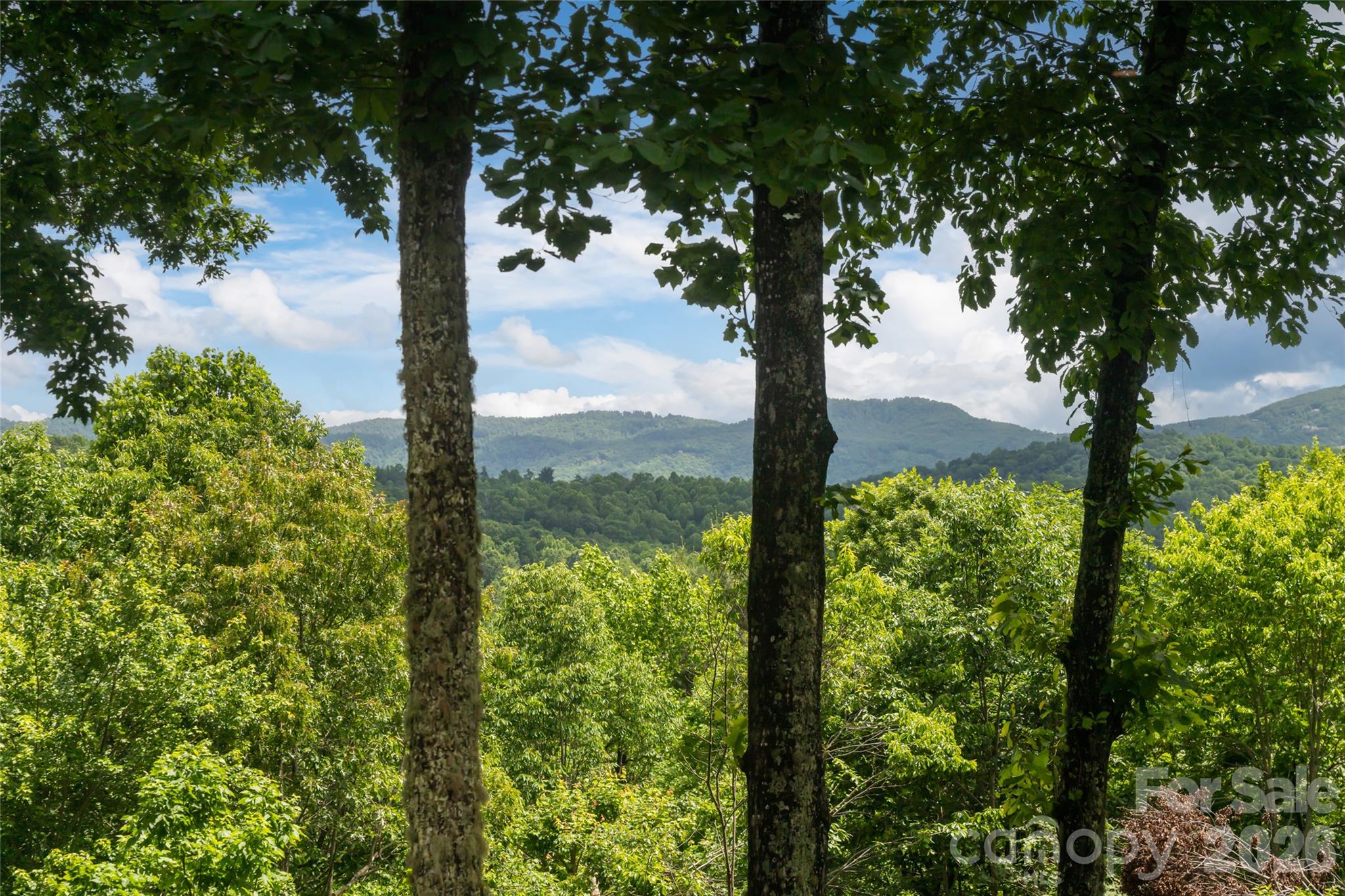 305 Piney Knoll Lane Hendersonville NC 28739