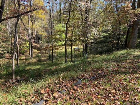 64 Thomas Road Old Fort NC 28762