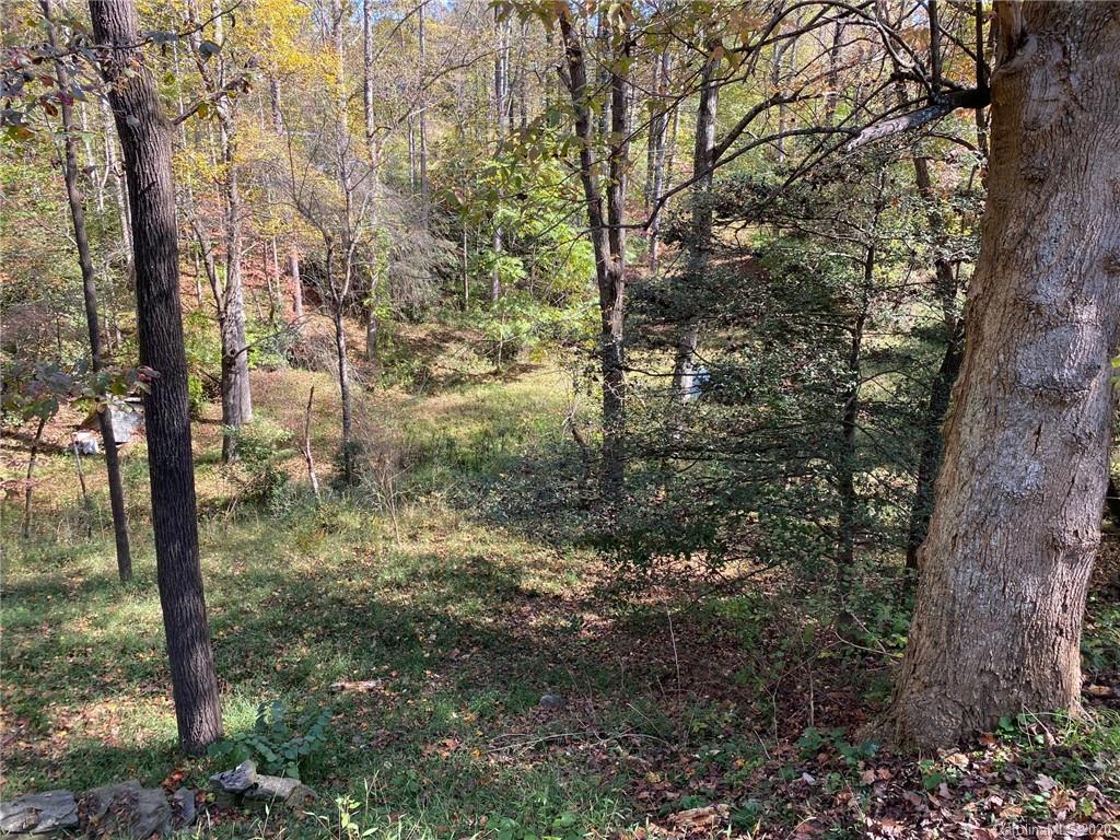 64 Thomas Road Old Fort NC 28762
