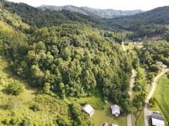 5056 Paint Fork Road Mars Hill NC 28754