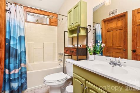 8 Blue Sky Drive Leicester NC 28748
