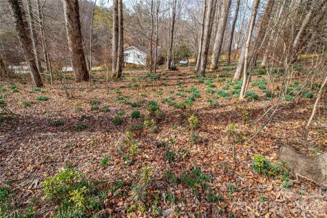 356 Pleasant Hill Drive Brevard NC 28712