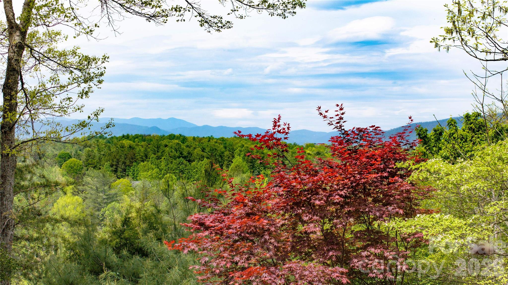 27 Magnolia Drive Nebo NC 28761
