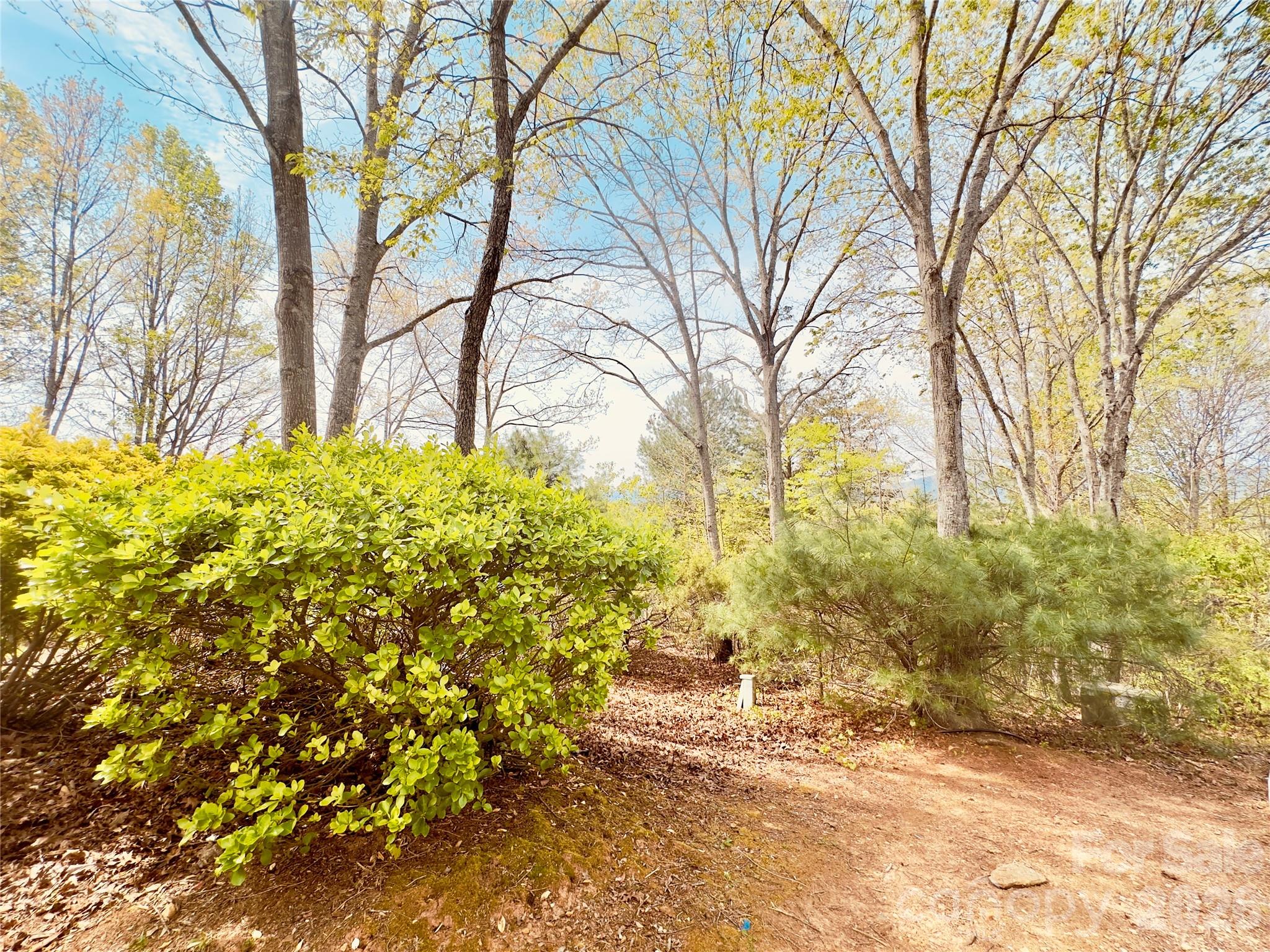 27 Magnolia Drive Nebo NC 28761
