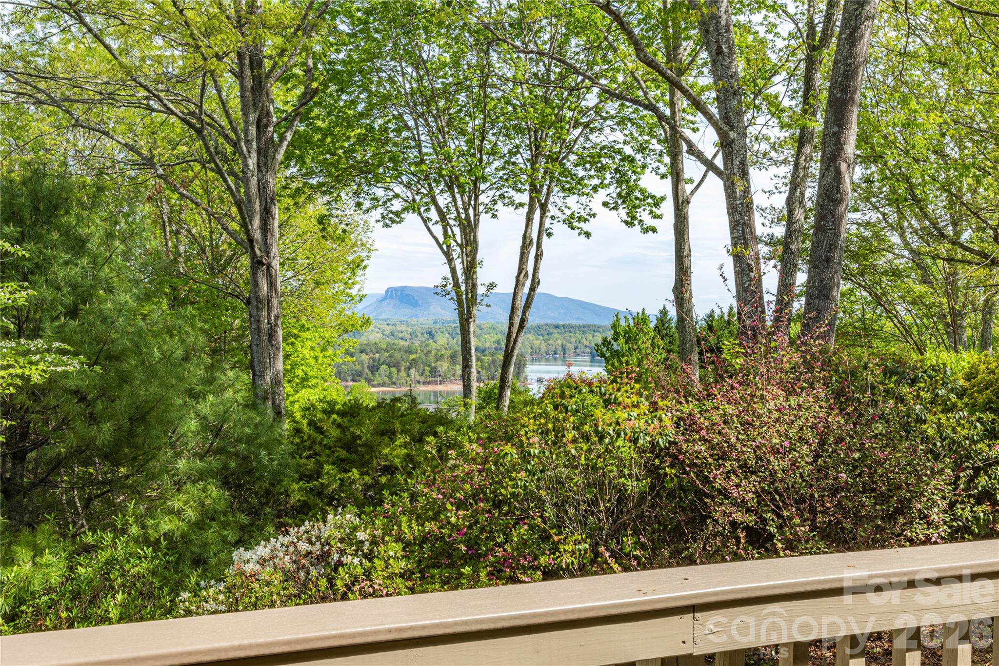 27 Magnolia Drive Nebo NC 28761