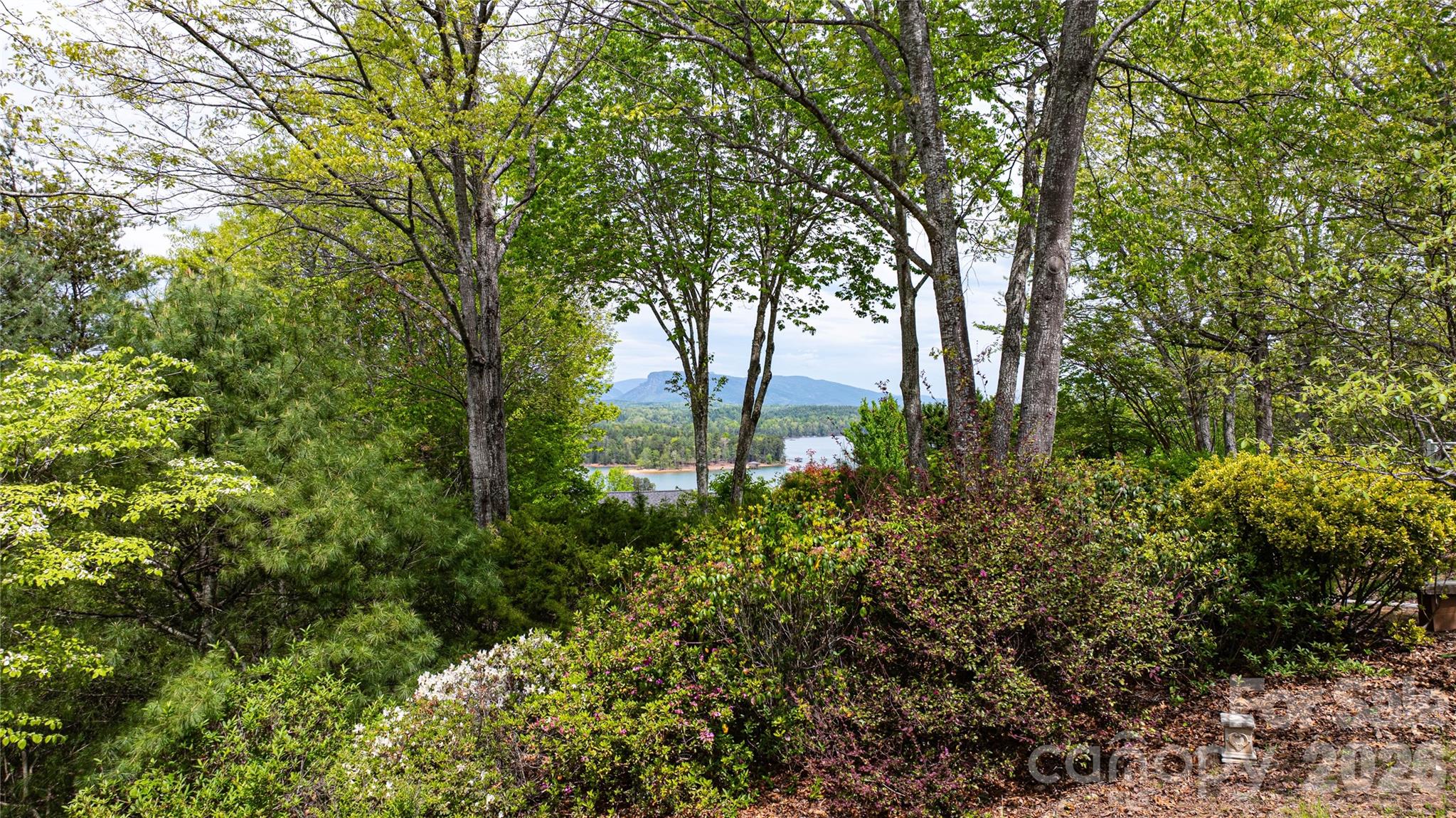 27 Magnolia Drive Nebo NC 28761