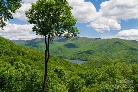 1 Wood Haven Lane Black Mountain NC 28711