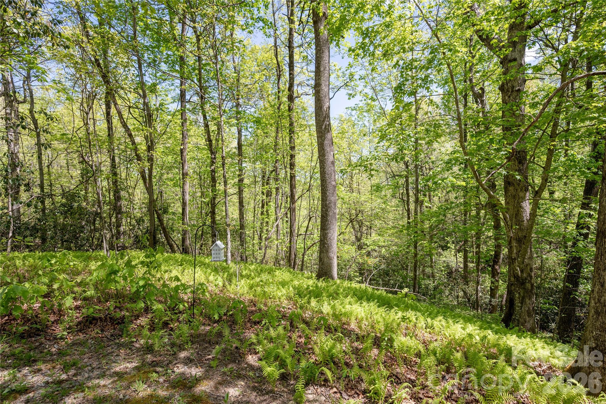 139 Panther Gap Road Brevard NC 28712