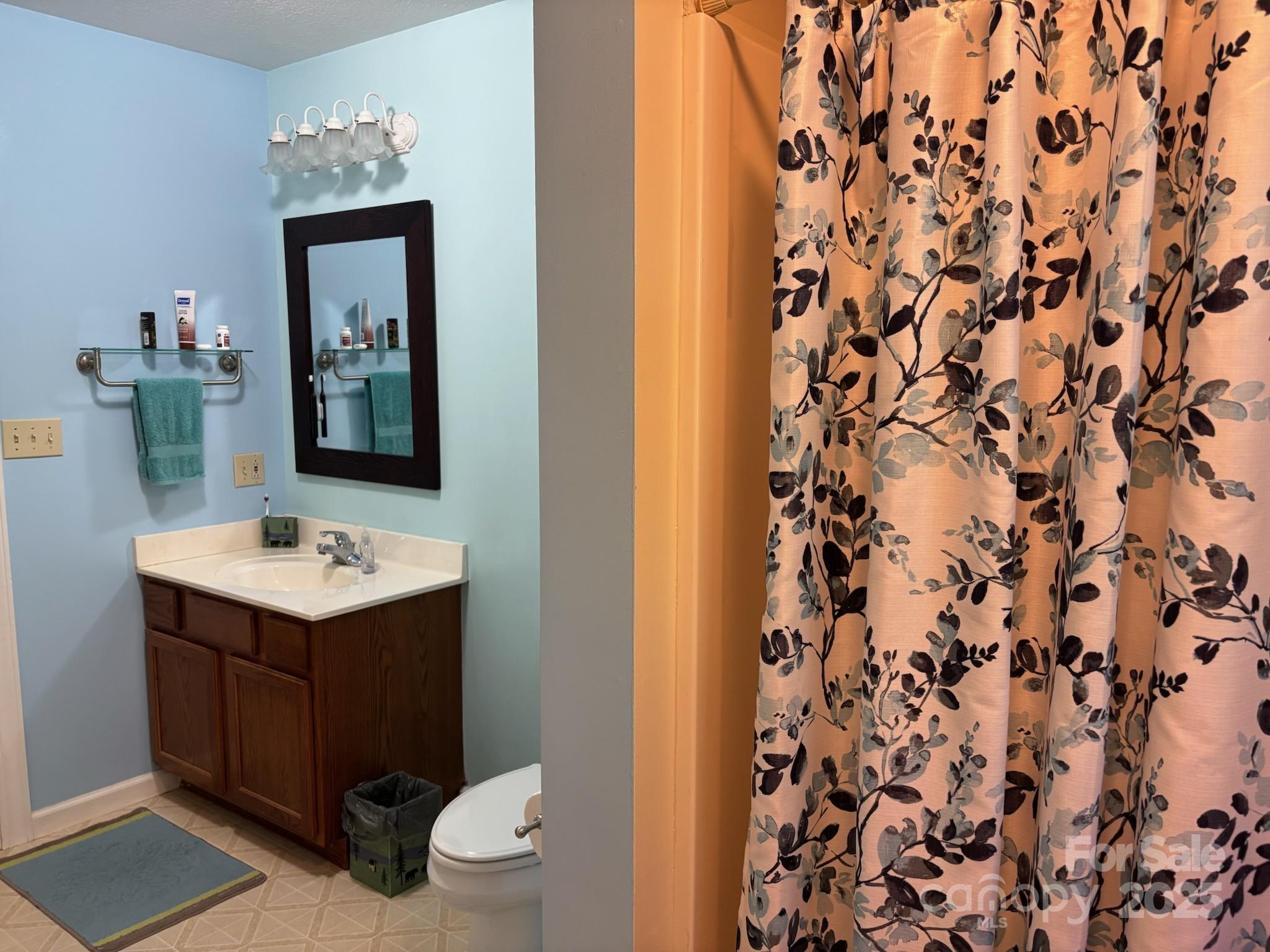 408 Dora Lane Bakersville NC 28705