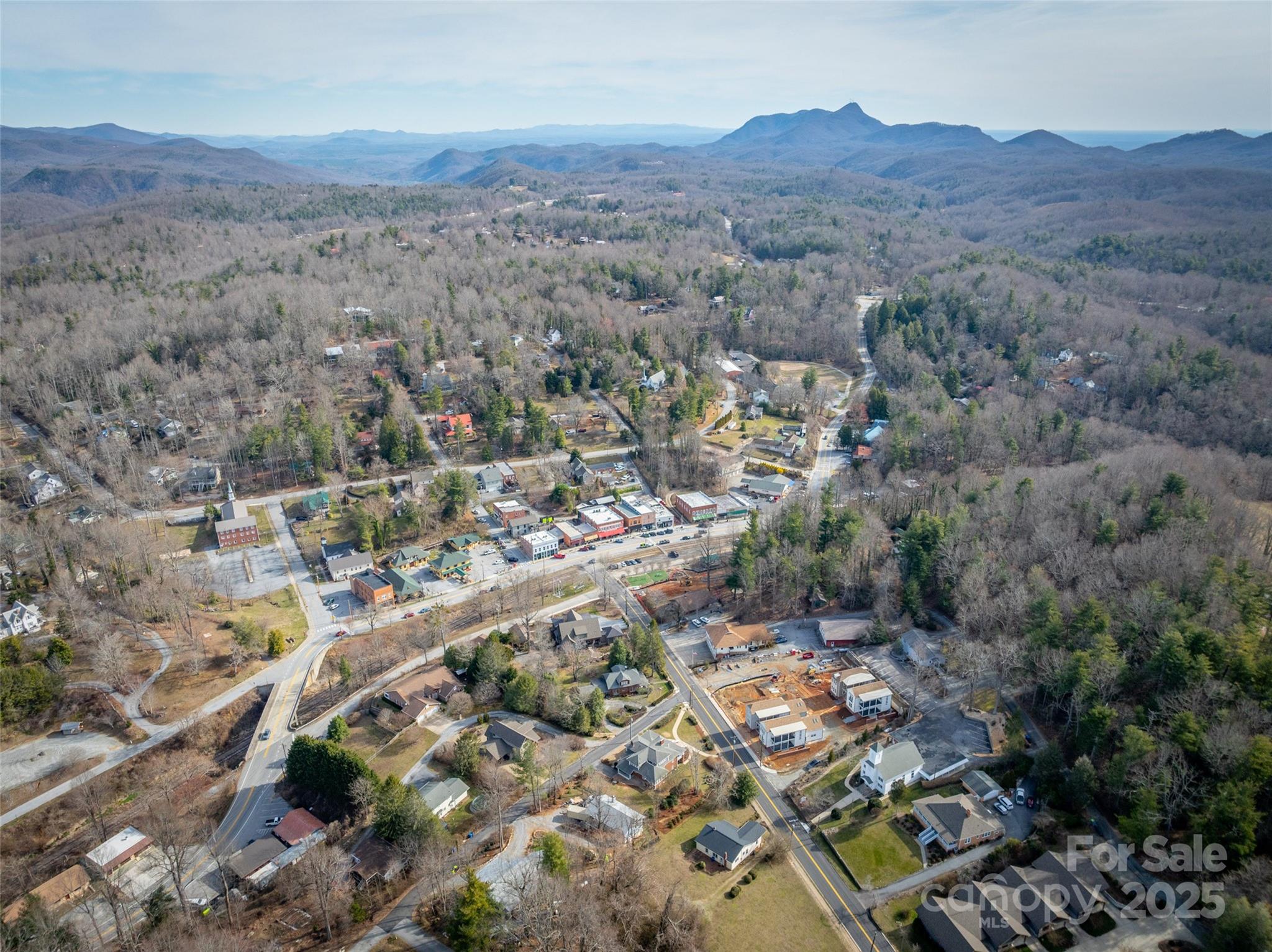 36 Skyvue Court Saluda NC 28773