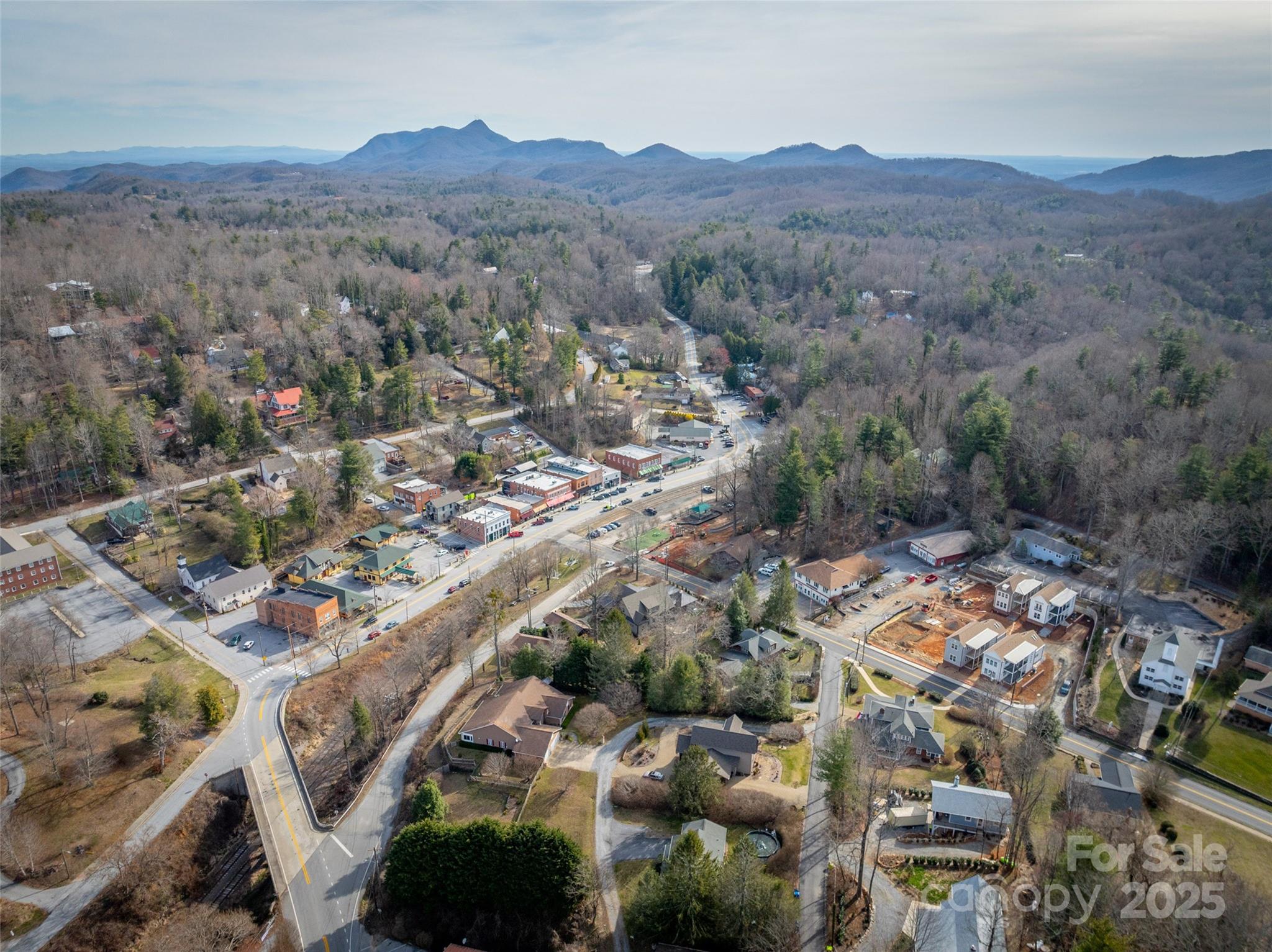 36 Skyvue Court Saluda NC 28773