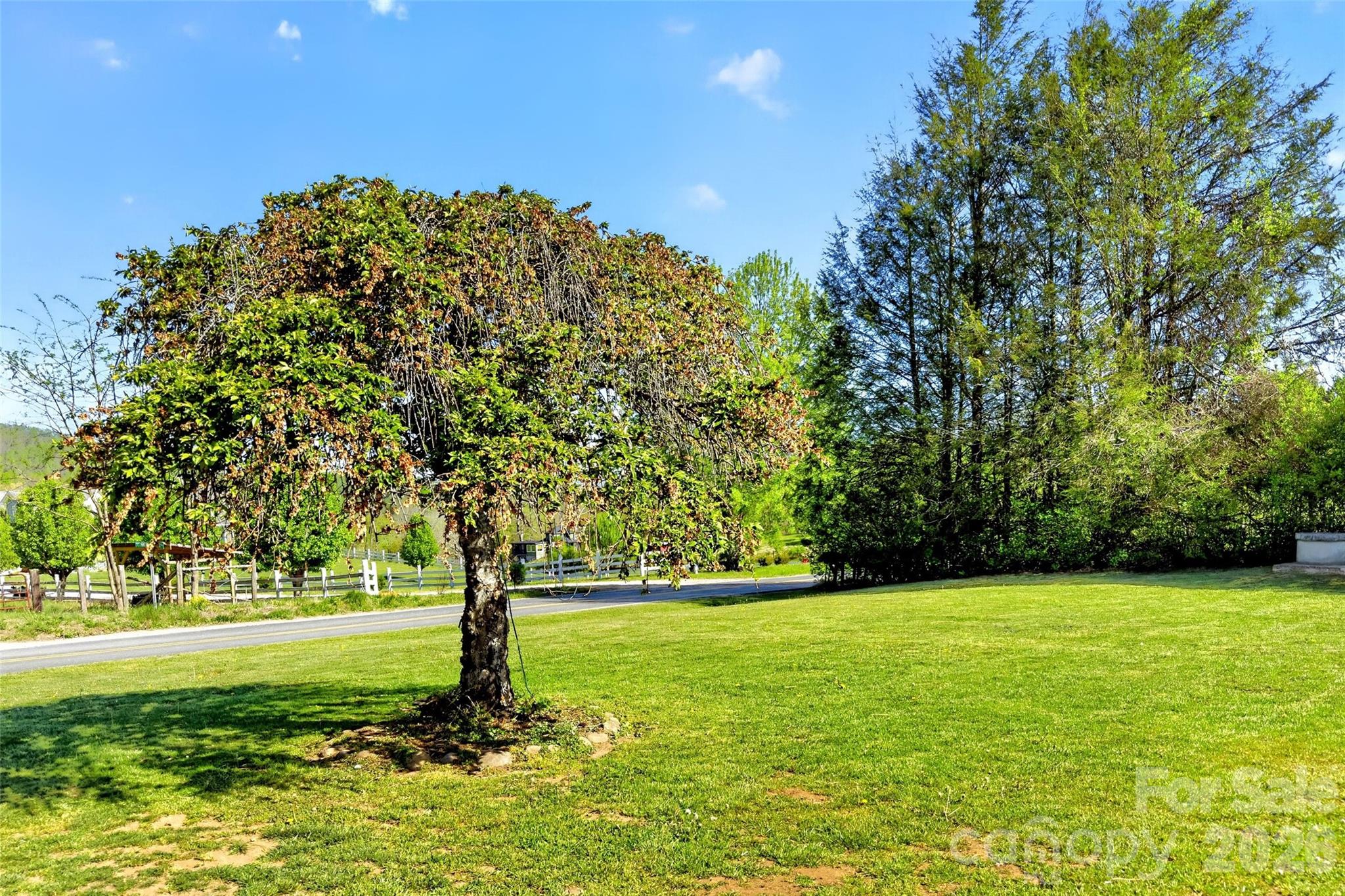 1191 Dale Road Spruce Pine NC 28777