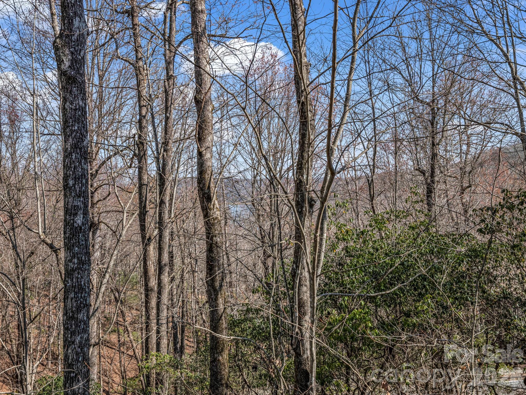 177 Tsisqua Circle Brevard NC 28712