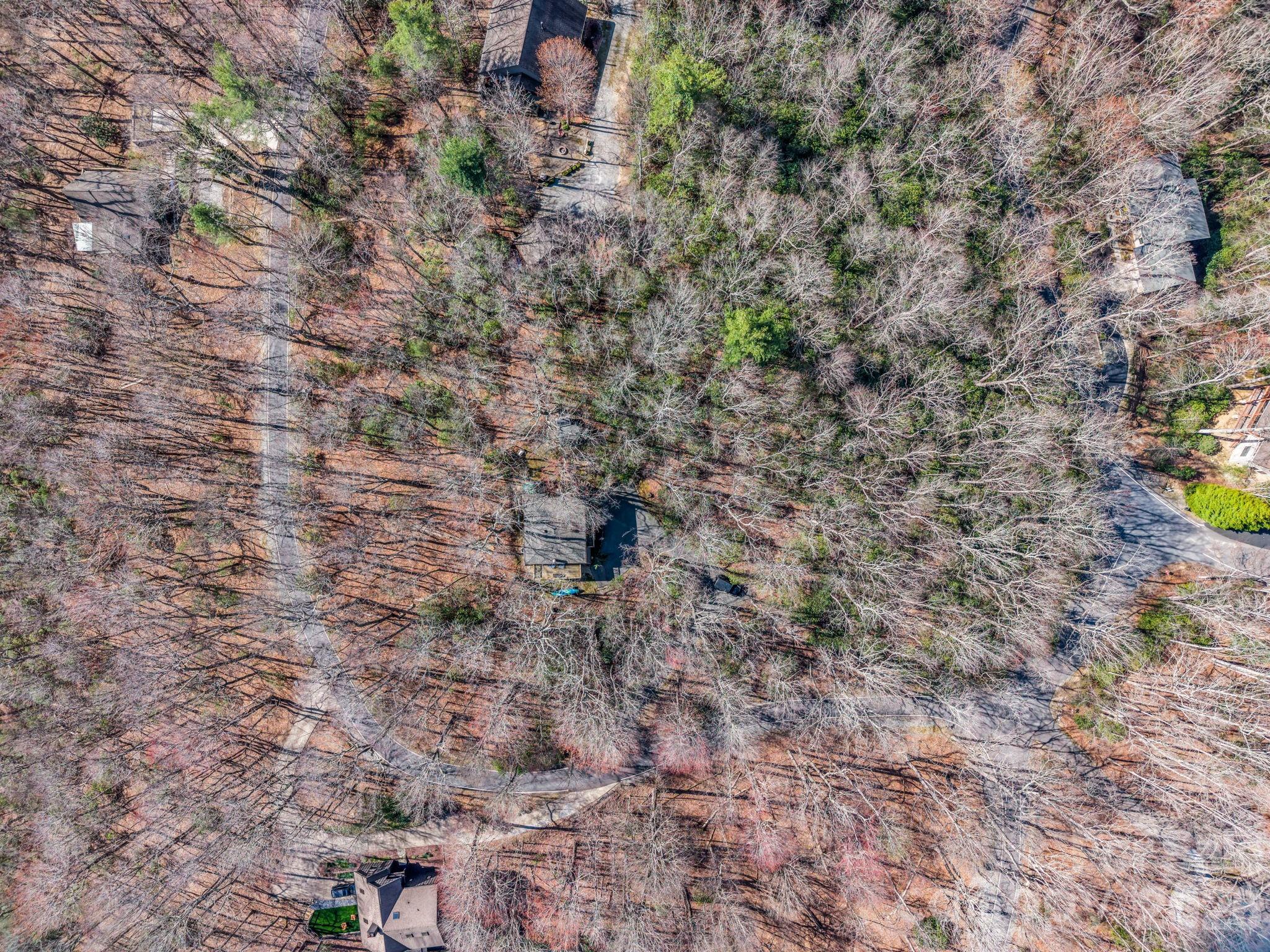 177 Tsisqua Circle Brevard NC 28712