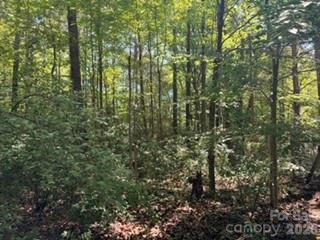 12538 Sam Furr Road Huntersville NC 28146