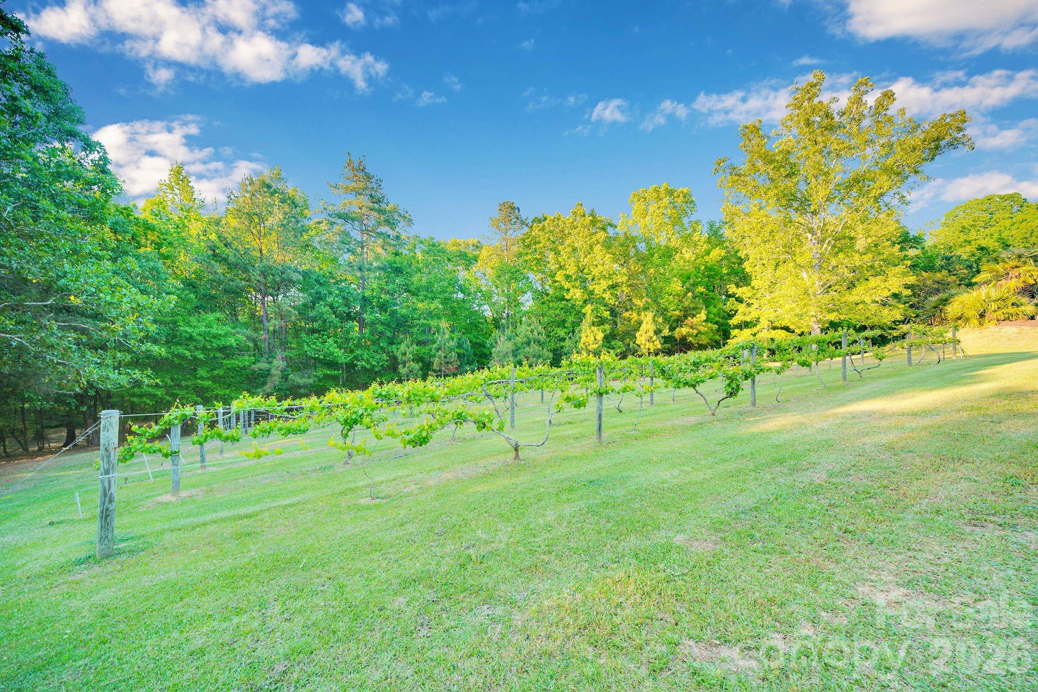1171 Hilldale Drive Lancaster SC 29720