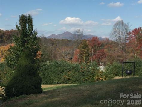 651 Case Cove Road Candler NC 28715