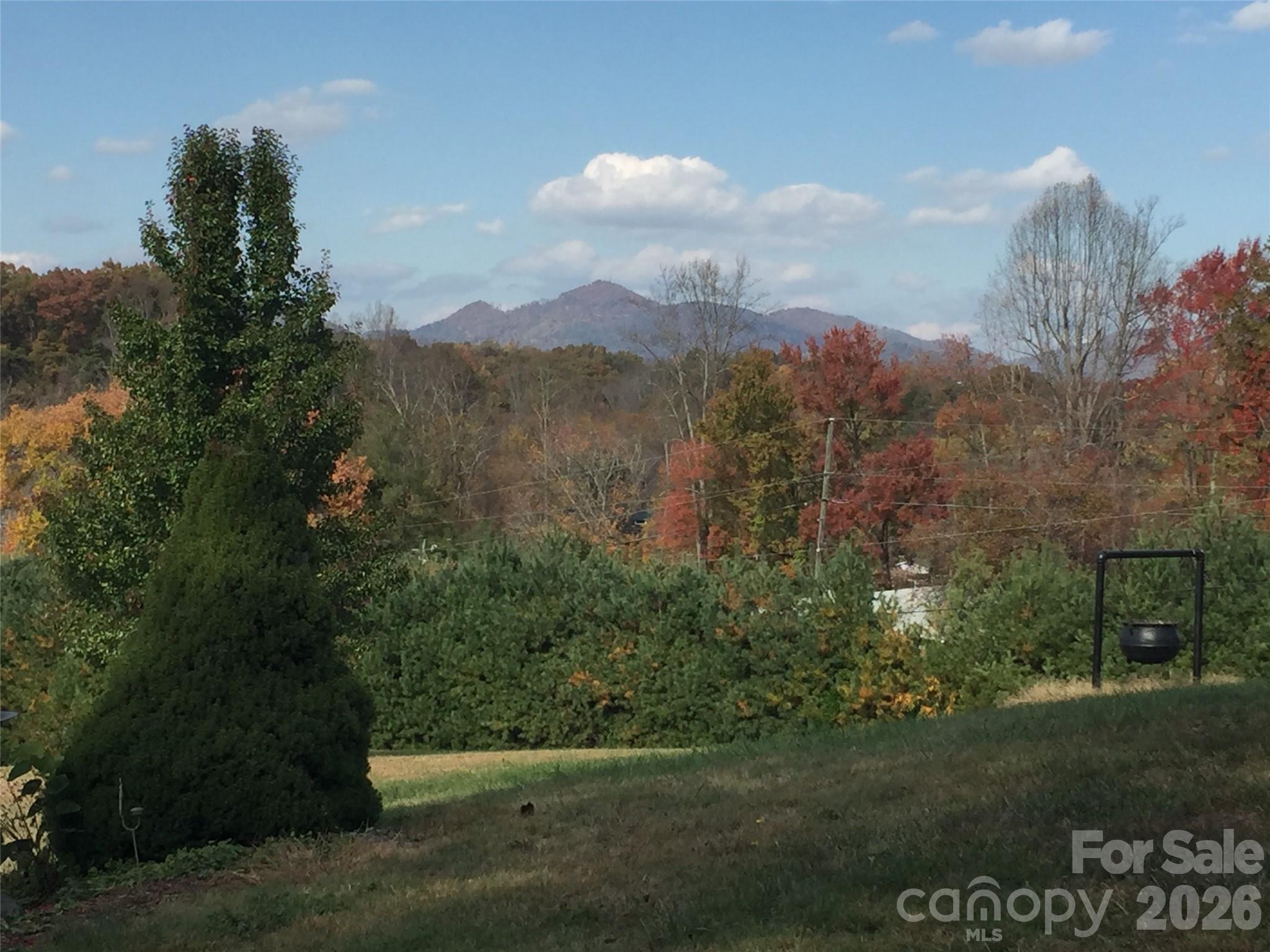 651 Case Cove Road Candler NC 28715
