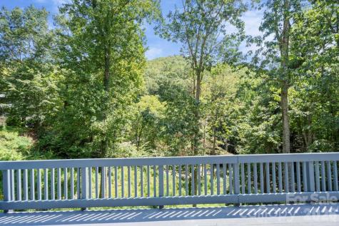 17 Twisted Trail Black Mountain NC 28711
