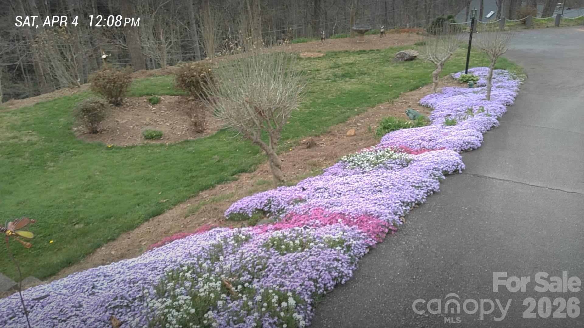 17 Twisted Trail Black Mountain NC 28711