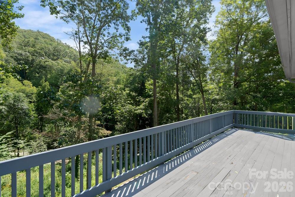 17 Twisted Trail Black Mountain NC 28711