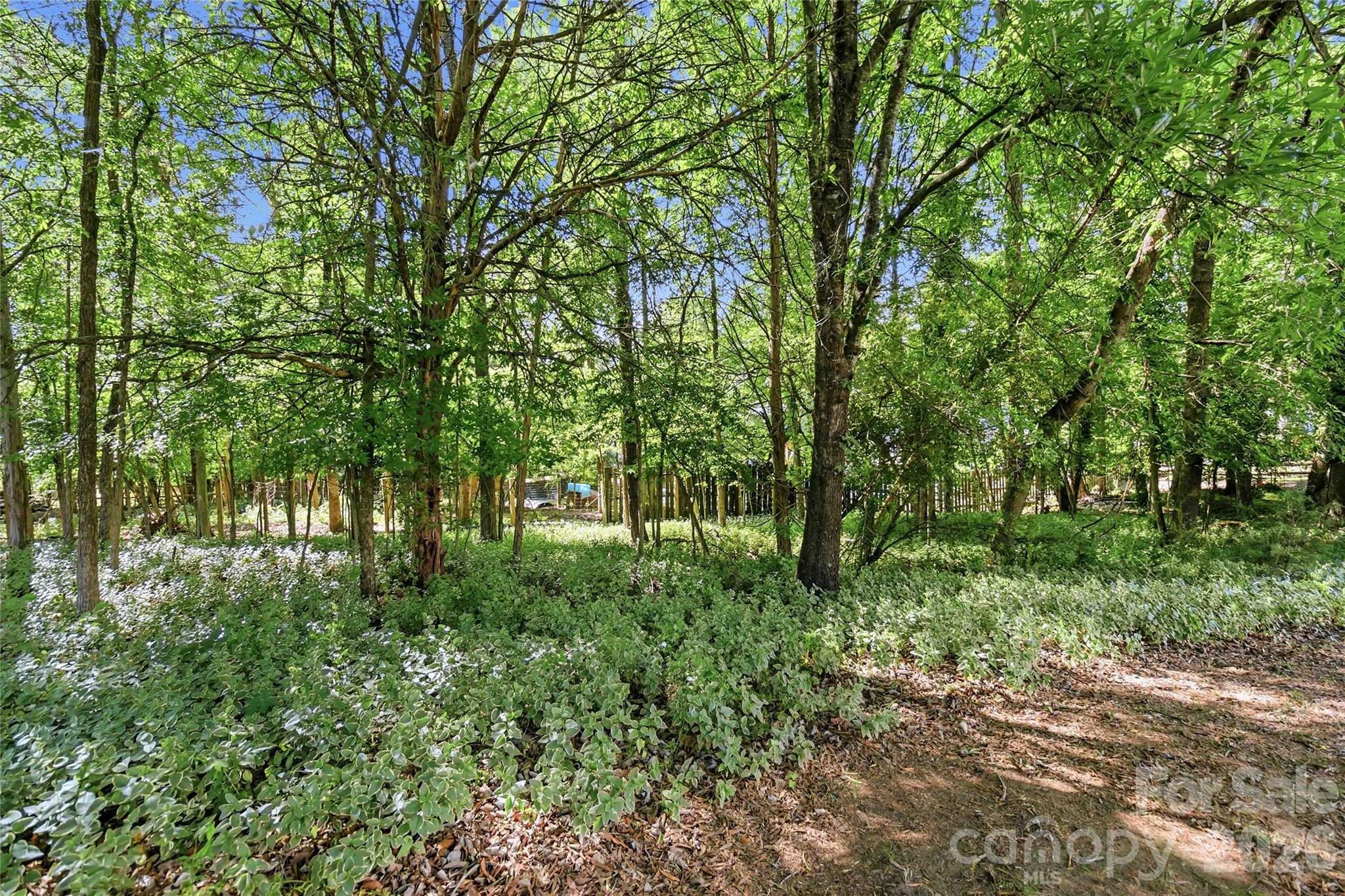 4710 Benridge Lane Charlotte NC 28226