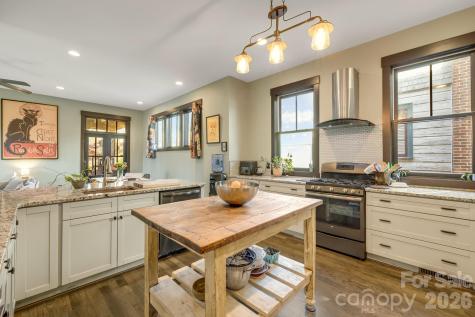 226 Flint Street Asheville NC 28801