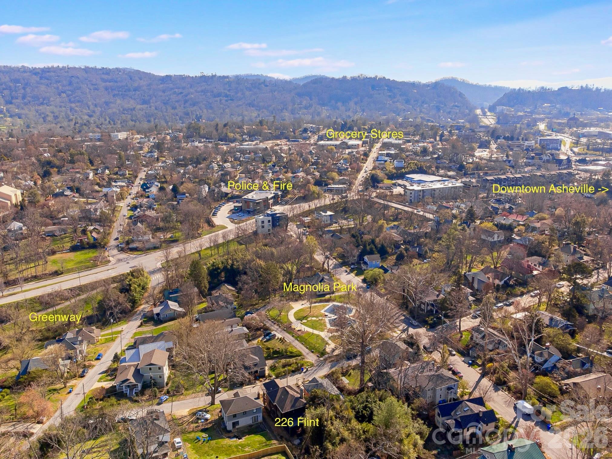 226 Flint Street Asheville NC 28801