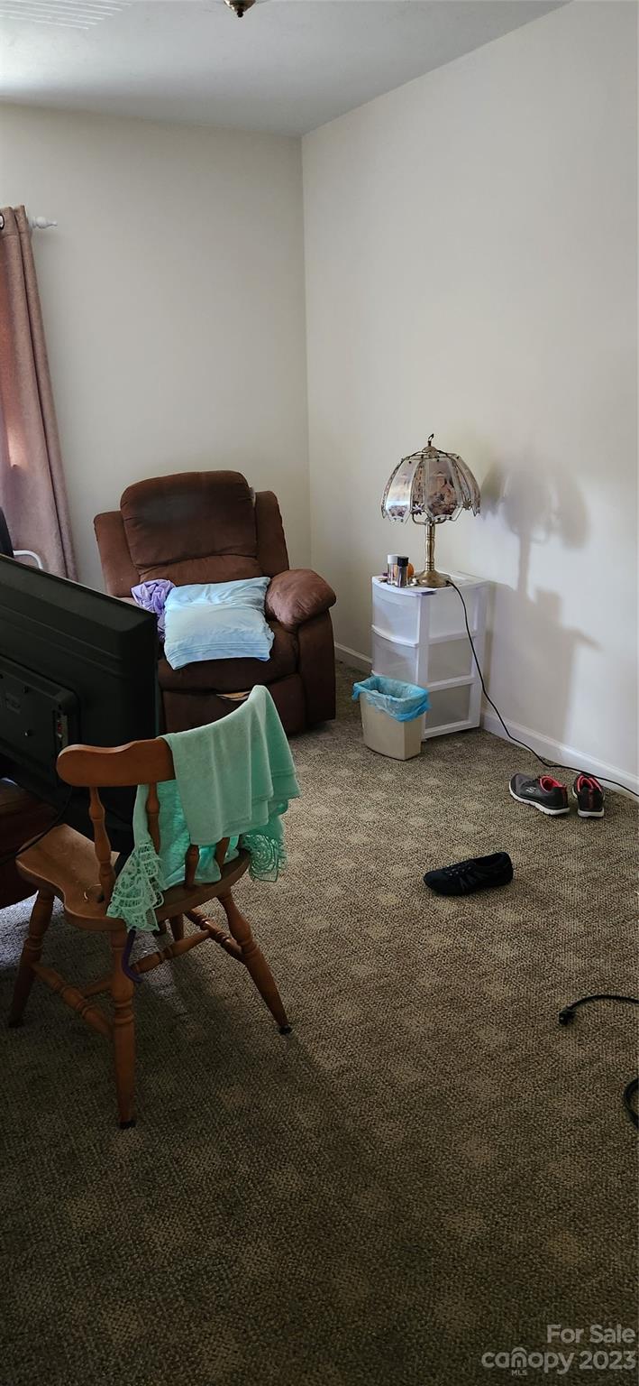 217 Hookers Gap Road Candler NC 28715