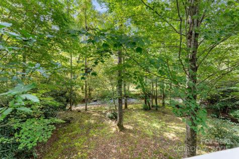 90 Wilds Cove Road Franklin NC 28734