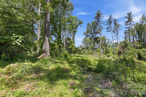 207 Wood Dale Drive Hendersonville NC 28791