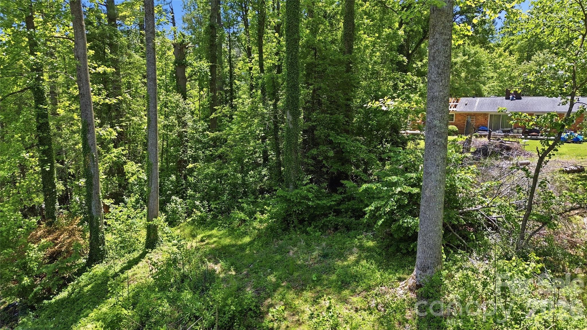 207 Wood Dale Drive Hendersonville NC 28791