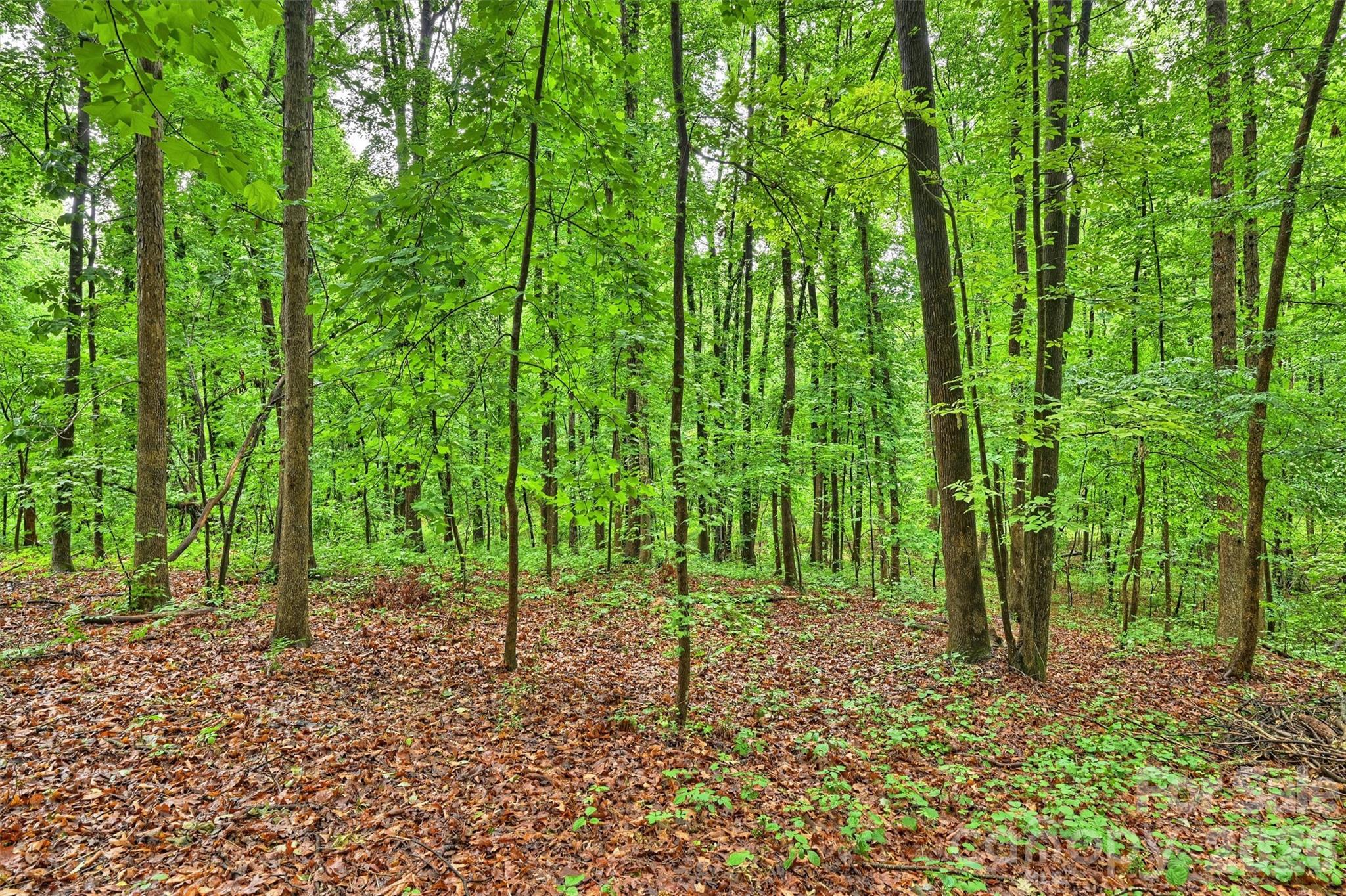 1916 Fair Forest Drive Matthews NC 28105