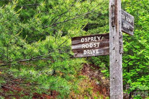 159 Osprey Roost Drive Nebo NC 28761