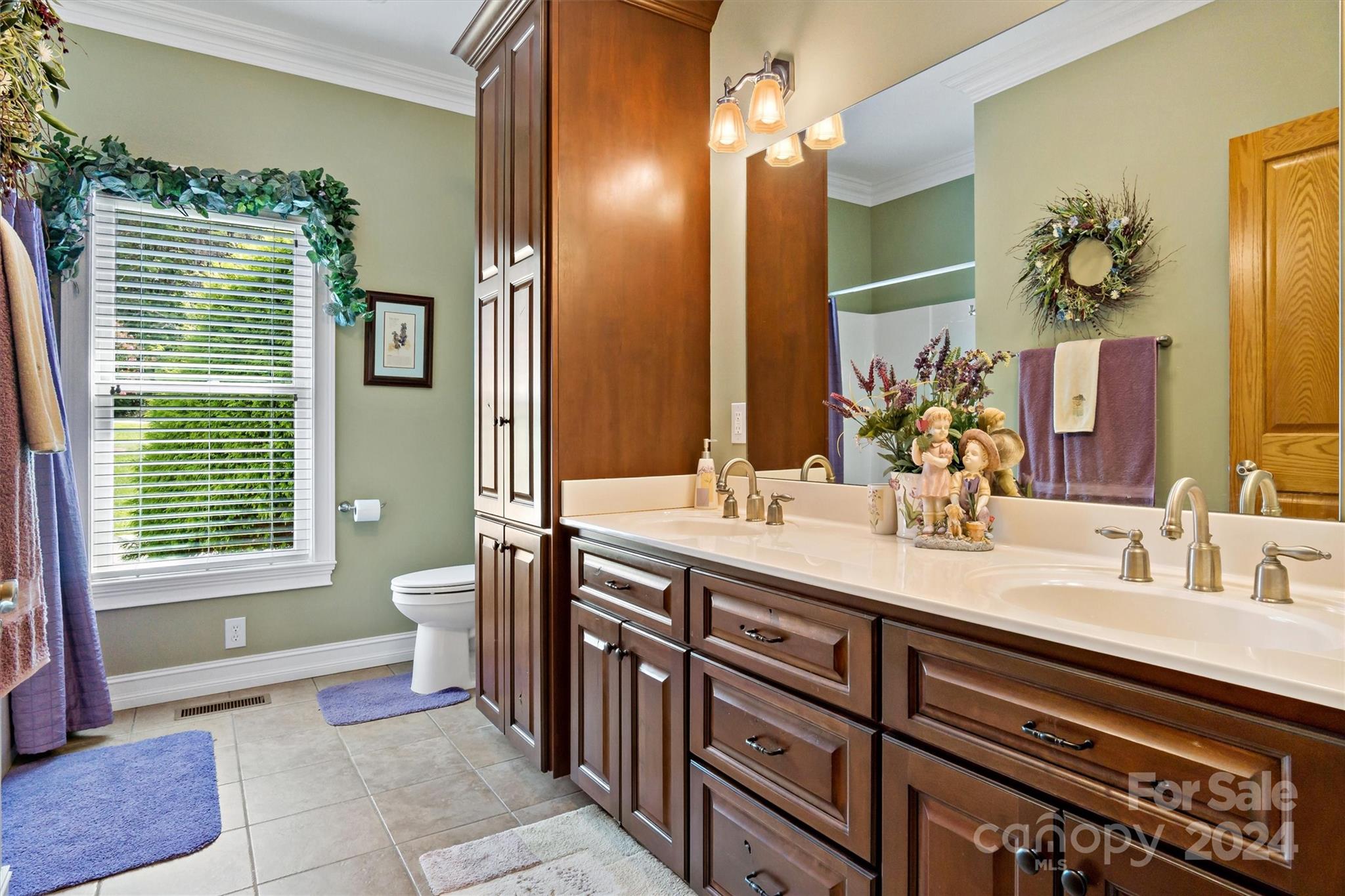 173 Mount Mitchell View Court Nebo NC 28761